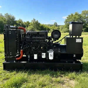 50kW Silent Diesel Generator Set with ATS 3-Phase Soundproof Genset Low Fuel Consumption CE ISO for Home Use