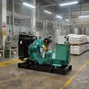 50kw 62.5kVA Silent 50hz Diesel Generator Set for Philippines Food Factory Factory Direct Fast Delivery One Year Warranty