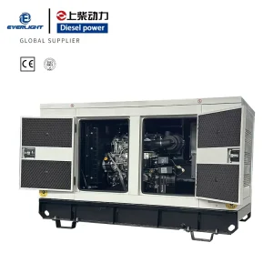 50kw OEM Hengli Power Soundproof Silent Container Diesel Engine Generator Set