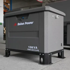 5KVA 10KVA 15KVA 20KVA Silent Generator CNG LNG LPG Built-in ATS Heavy Duty Steel Frame Factory Direct