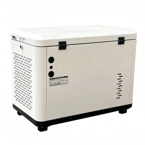 5kw 10kw 15kw Silent Diesel Generator 1/3 Phase Air Cooled Water Cooled High Power Backup Diesel Generator Construction Site Use