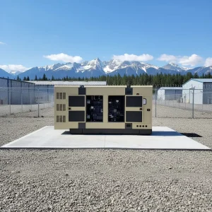 60 250KW Biogas Syngas Gas Genset Natural Gas LPG Biomass CHP Cogeneration Silent Power Plant 3 Phase 50 60Hz CE ISO