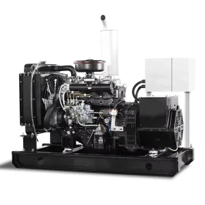 60 hz 1800 Rpm 110 220 v 120 240 v Single Phase Diesel Generator 20 kw