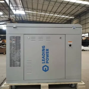 6kW 9kW 15kW Silent Natural Gas Generator Dual Fuel NG LPG Air Cooled 50Hz 3000RPM Residential Commercial Backup Power
