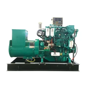 700kW 1000kVA Silent Diesel Generator Open Frame Container Type Industrial Use Prime Power Heavy Duty