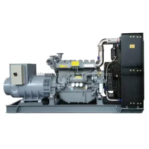 700kW 875kVA High Power Diesel Auto Open Frame Silent Canopy Industrial Genset ATS Synchronization CE ISO Certified