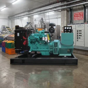 75KW 93.75KVA 3 Phase 50hz 60hz diesel Generator Set Euro 3 Certified for Nepal Fruit Processing Plant Low Vibration