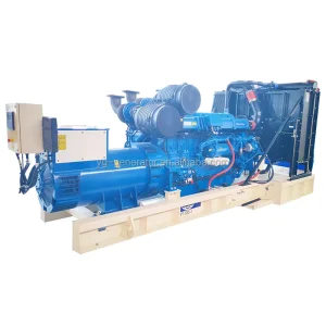 800KVA 880KVA 1000KVA 1MW 1200KW 1500KW 2MW Canopy Power Plant Emergency Backup Power Diesel Genset