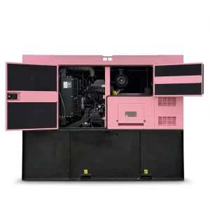 80kW 100kVA Open Frame Silent Canopy Diesel Generator 90kW 110kVA Three Phase Genset with Auto Start Standby CE