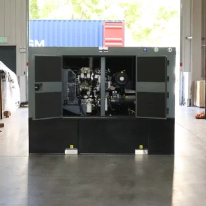 80kw 100kva Diesel Generator Silent Type with UK-Perkinss Engine