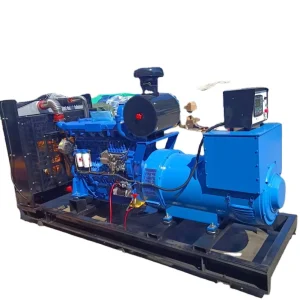 875kVA 700kW Single Phase Silent Canopy Soundproof Diesel Generator with Remote Control for Remote Areas and Islands