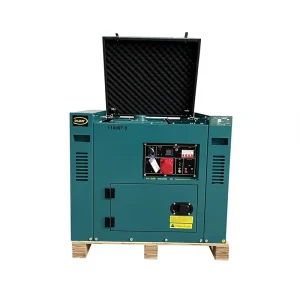8KW Diesel Generator Set Digital Control Super Silent AC Single Phase 50Hz 230V Electric Start High Efficiency 96% Green