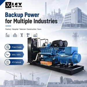 AC Single Phase Multi Brand Engine Compatible High Power Industrial Diesel 20 kW 25 KVA Open Generator Station