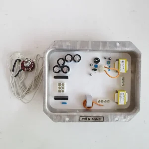 AVR NTA-5A-2T Automatic Voltage Regulator Generator Spare Parts Supplier Stabilizer Generator AVR NTA-5A-2T