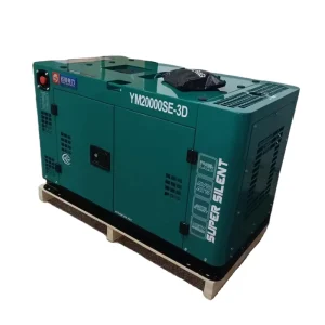 Air cooled Double Cylinder Silent Diesel Generator Electric Start Single Three Phase 220V 380V 50 60Hz ATS Movable