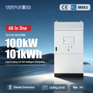 All in One 100kW 101kWh LiFePO4 Air-Cooled ESS Commercial Industrial Energy Storage System for PV Diesel Generator Grid