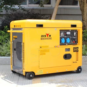 BISON(CHINA) 5Kva Diesel Generator 5Kw Silent Type 186f Diesel Generator Set