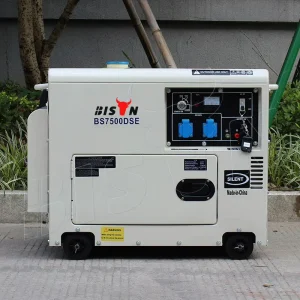 BISON(CHINA) BS10000DSE Diesel Generator 8KVA Portable Single Phase Silent CE ISO Certified Electric Start