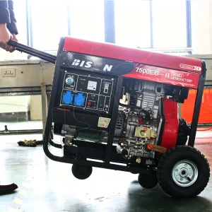 BISON(CHINA) Gent Set 5KW 220V 50HZ Open Type Diesel Generator