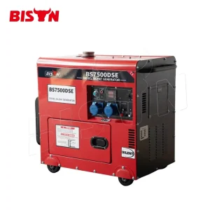 BISON(CHINA) Portable Air Cooled 5.5kW Single Cylinder Silent Diesel Generator with ATS 110 240V Single Three Phase