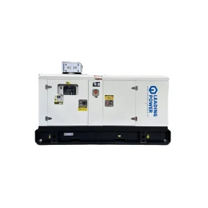 Brushless Diesel Generators 20kw 30kw 40kw 50kw 60kw 50 60Hz Ac Three Phase 30kva 40kva 50kva 60kva Alternator Diesel Generators