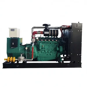 CE ROHS UKCA 80KW Biogas Generator Livestock Farm Large Scale Manure to Energy System 85% Efficiency Water Cooled Odor Control