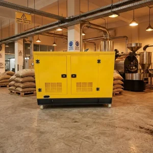 CUMINS 48KW 60KVA 3 Phase 50hz Silent Diesel Generator Set Euro 3 Certified for Vietnam Coffee Processing Plant Low Vibration