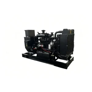 CUMINS 80KW 100KVA 3 Phase 50hz Silent Diesel Generator Set Euro 3 Certified for Africa Water Conservancy Project Stable Voltage