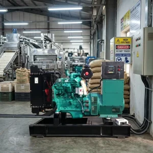 CUMINS 90KW 112.5KVA 3 Phase 50hz diesel Generator Set Euro 3 Certified Vietnam Cashew Processing Factory Factory Direct Sale