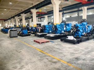 Canopy Type Diesel Generator Sets 50 and 60 Hz Customized Service Good After-Sale Service