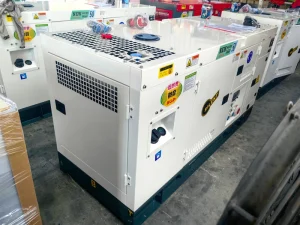 Canopy Type Diesel Generator Sets 50 and 60 Hz Customized Service Good After-Sale Service Ricardo Engine