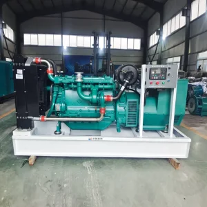 China Factory Manufacture 220V/240V/380V/400V/440V/480V Diesel Power Generator 30kw 40kw 50kw 60kw Electric Generator Diesel