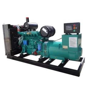 China Manufacturer Price Leiteng Diesel Generator Set Industrial Open Frame Type OEM Portable Auto Start Remote Start Low Noise