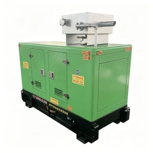Commercial Building Emergency 3 Phase Stable Open Frame Backup Power Equipment 80 Kva diesel Generator