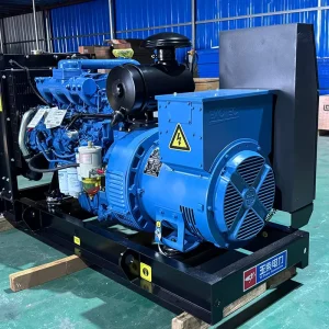 Commercial Industrial Use Open Frame Diesel Generator Set with Auto Start ATS Air Cooled System-50/60 Hz Frequencies