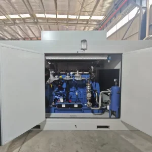 Container Type Soundproof Rainproof 1MW 1250kVA 50Hz 1500rpm CNG LPG LNG Natural Gas Generator Set Silent
