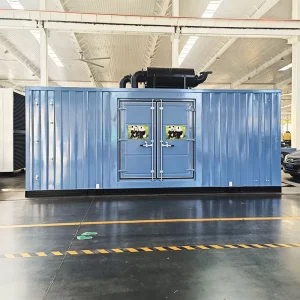 Container type Diesel Generator Outdoor Power Generation Equipment Windproof Sunscreen