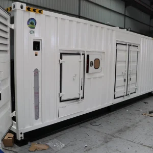 Containerized Diesel Generator for Outdoor Project & Mining Site Power