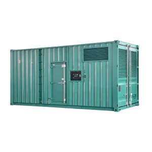 Containerized Generador diesel 1000kw Groupe Electrogene diesel 1mw 1250 Kva Generator Price in Dubai