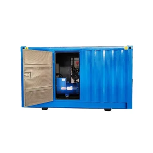 Containerized Silent Type Diesel Generator Set 20kw 30kw 40kw 50kw 60kw 70kw 100kva Auto Start Open Frame ATS Remote Start 220V