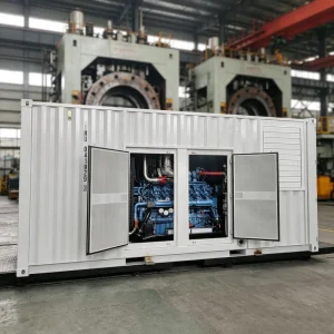 Continuous Operation Container Silent Type 1000kW 1250kVA Natural Gas Generator 1MW Biogas LPG Gas Generator