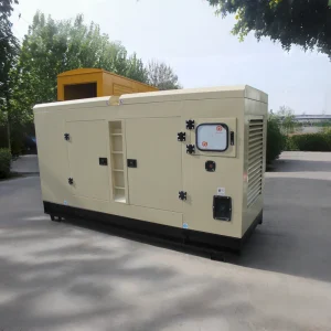 Cost Effective 20kw 30kw 40kw 50kw 60kw Silent Generator Ricardo Brand 3 Phase Brushless Diesel Generator with Soundproof Canopy