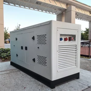 Cost effective 40kw for Silent Diesel Generator Soundproof Type Electric Start Low Oil Protection Low Noise ATS