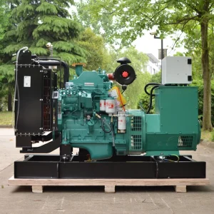 Cumins 50KW 62.5KVA 3 Phase Diesel Generator Set 50 60HZ Optional Stable Performance for Supermarket Villa Emergency Power