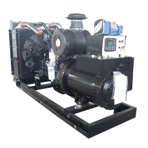 Cummins Engine 325kva Diesel Generator Set Electric Generator Set Three-phase Diesel Generator Set Diesel Generator