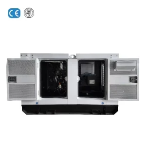 Custom Silent Type 3 Phase 30Kva 40kva 20KW 25KW 20KVA Auto Start Diesel Generator Genset for Home Use