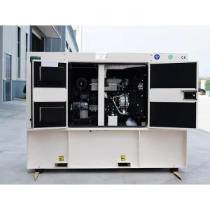 Custom Water Cooling Silent Canopy 20kW Diesel Generator Sets 30kw 40kw 50kw for Construction & Home Us