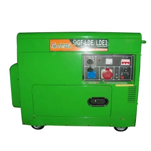 Customized Direct Sales 7.2kw 8kw 9Kva 10kva 9GF Portable Silent Diesel Generator for Sale