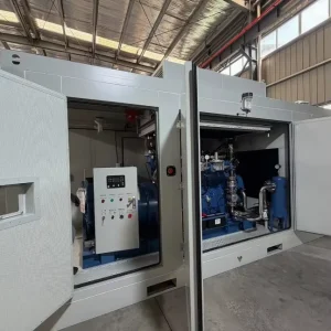 Customized Silent Type Container Type 1000kw/1250kVA Auto Start with Synchronizing System LNG CNG Natural Gas Generator