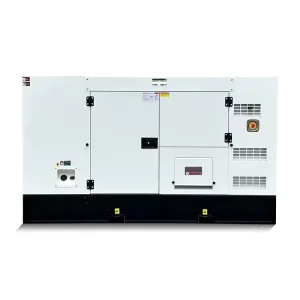 DG Set 50 KVA Diesel Generating Set 40 KW Silenced Diesel Generator Price